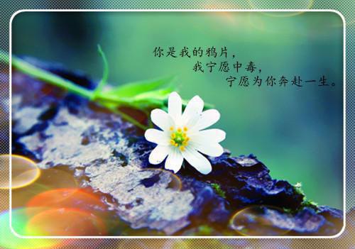 十大励志电影精选推荐