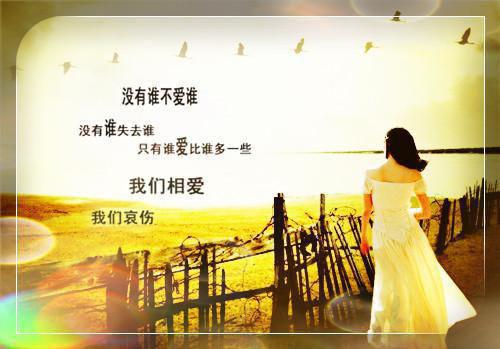 关于借月抒怀的诗句