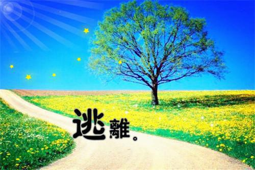 经典有哲理的微信签名一句话 云淡风轻地听说你和她的爱情