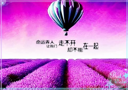 沈青荷姜铭彦：结局+番外+完结（沈青荷姜铭彦）全文免费阅读无弹窗大结局_沈青荷姜铭彦：结局+番外+完结最新章节列表_笔趣阁（沈青荷姜铭彦）