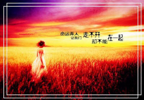 誓言犹在，锦书难托神秘小说家完本在线小说免费阅读