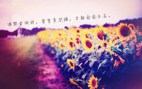 一篇关于成功的作文400字