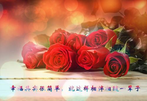 晚风里旧梦成殇：结局+番外（季司霆叶芷晴）最新章节列表_晚风里旧梦成殇：结局+番外（季司霆叶芷晴）全文+后续+结局在线阅读
