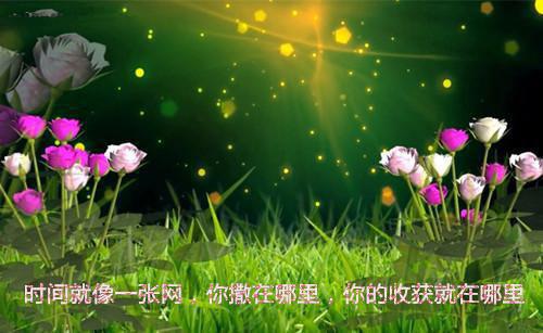 失恋了心灰意冷的伤感签名2023 还是害怕不经意间听见你的消息