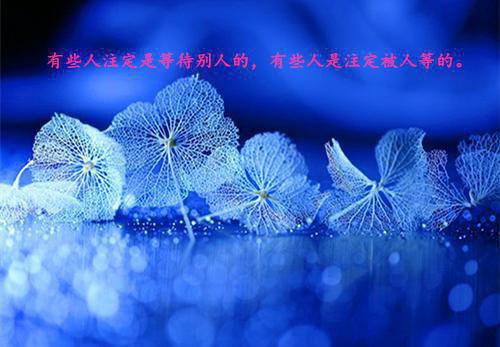 虞羡禾傅时恪名虞羡禾完本在线小说免费阅读