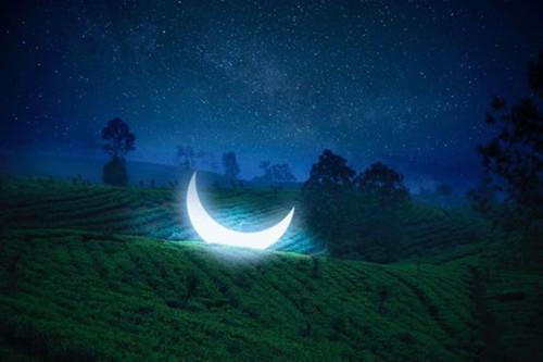 高三优秀学生评语