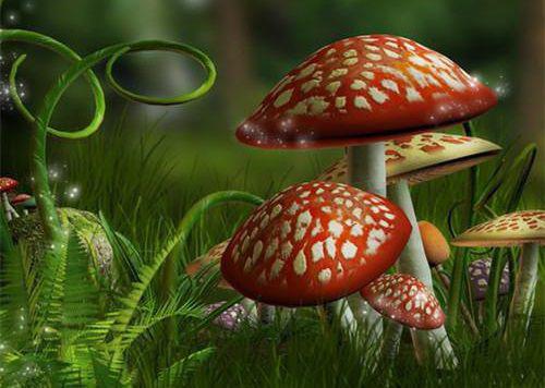 中班第二学期开学简单评语