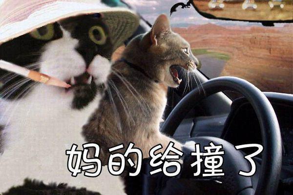 何奕霄卢芸灵(命运的重逢：结局+番外)全文免费阅读无弹窗大结局_(何奕霄卢芸灵)最新章节列表_笔趣阁(命运的重逢：结局+番外)