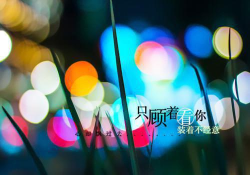 桃花劫吕正秦梦雪小说_桃花劫完结版阅读