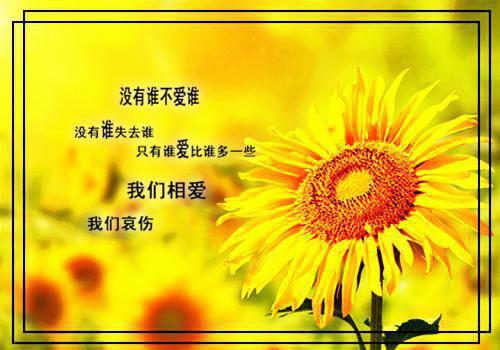 教师评语（精选32篇）