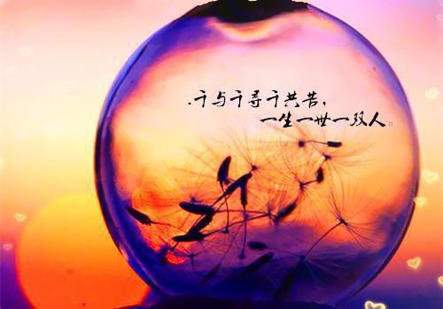 送给暗恋的人生日祝福语
