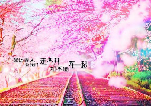 直面高考励志宣言
