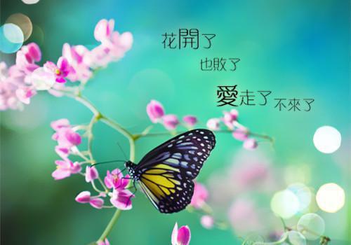 上穷碧落下黄泉：结局+番外（沈芙楚易轩）完结阅读无弹窗大结局_上穷碧落下黄泉：结局+番外免费阅读最新章节列表_笔趣阁（沈芙楚易轩）