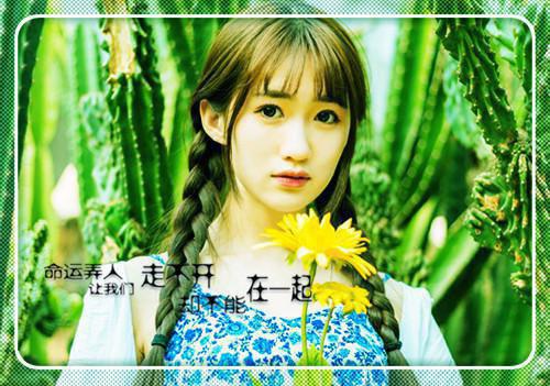 成为太子妃后，前夫后悔了雪鹿祁书容钰小说_成为太子妃后，前夫后悔了完结版阅读