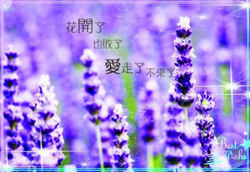 30个传递正能量的句子