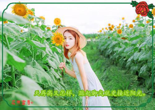 有哲理的感情句子