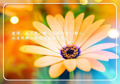 一口气读完直到最后，女友才知我是京圈豪门苏轻语许流年：结局+番外_(直到最后，女友才知我是京圈豪门苏轻语许流年：结局+番外最新章节列表_笔趣阁)苏轻语许流年直到最后，女友才知我是京圈豪门全文+后续