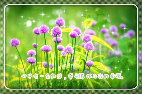 关于读书学习的名言警句摘抄大全