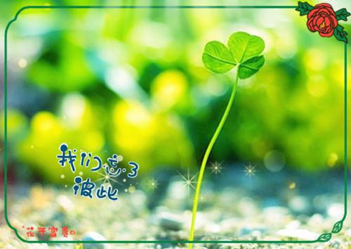 前言+后续云开雾释月正浓：大结局+后续无广告+置顶免费阅读无弹窗大结局_（云清月沐千宸琼音）云开雾释月正浓：大结局+后续无广告+置顶最新章节列表