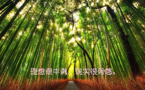 家长评语评价（通用3篇）