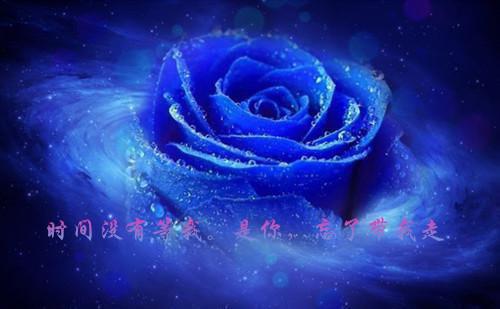 小学生期末优秀的评语（通用15篇）