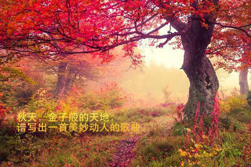 关于青春的抒情散文精选
