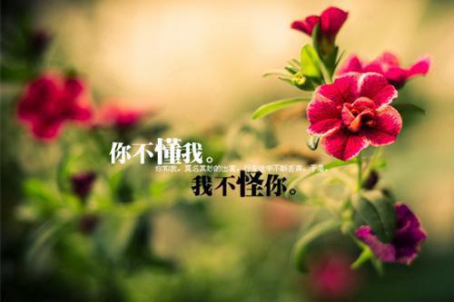 如果我变成回忆:结局+番外(穆青萤温淮宴)全文免费阅读无弹窗大结局_(如果我变成回忆:结局+番外)如果我变成回忆:结局+番外最新章节列表_笔趣阁(穆青萤温淮宴)