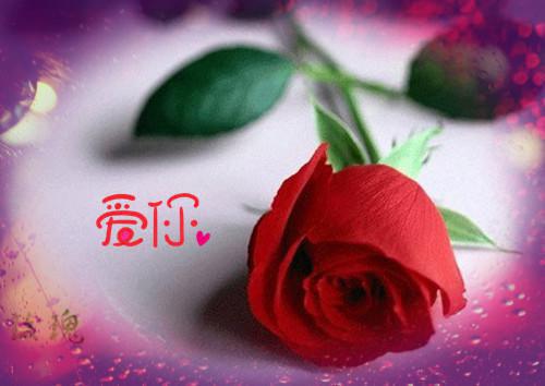 吾偏知春来：结局+番外（谢允衾云皎）全文免费阅读无弹窗大结局_(吾偏知春来：结局+番外谢允衾云皎)最新章节列表_笔趣阁（谢允衾云皎）