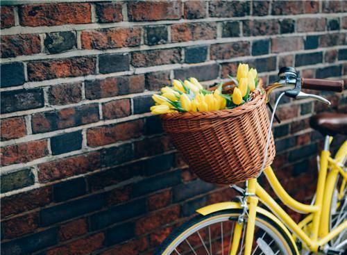 (番外)+(全文)陆寒辞江若星：结局+番外（陆寒辞江若星）全文免费阅读无弹窗大结局_(陆寒辞江若星：结局+番外)最新章节列表_笔趣阁（陆寒辞江若星）