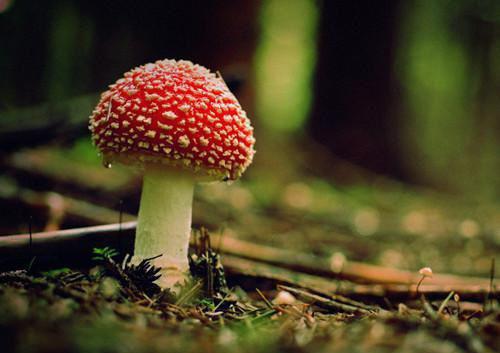 (番外)+(全文)从此清风过南柯：结局+番外 温诗锦贺云瑶小说全文免费阅读_从此清风过南柯：结局+番外最新章节列表笔趣阁