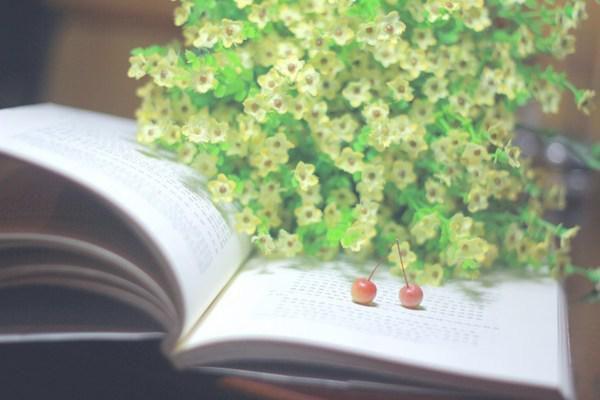 林未晚全章节_重生七零左手吃瓜右手虐渣小说阅读