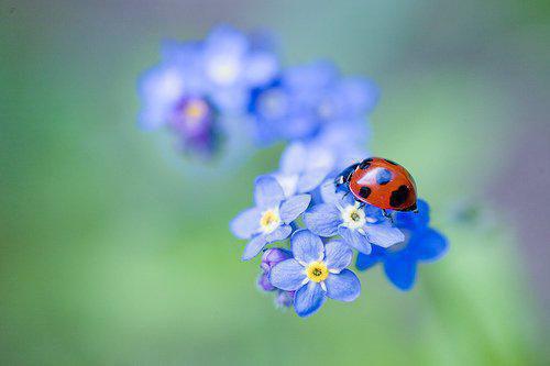 大班毕业教师评语(通用3篇)