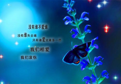 与婳燕尔司珩书名的云婳小说全文免费阅读