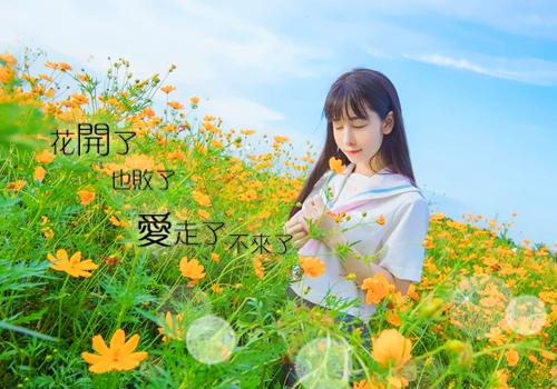 同事离别祝福语大全
