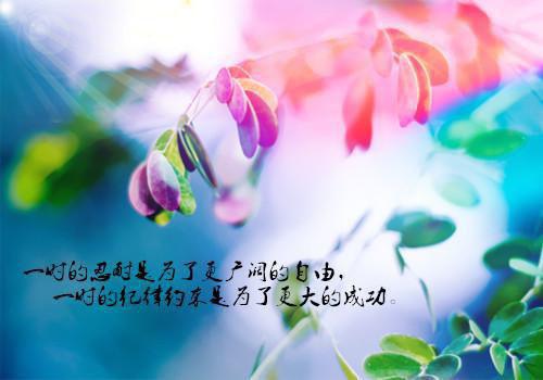 感悟人生感情哲理句子