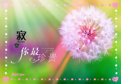 2024新上热文我死后，男友亲手解剖了我在线秦宇宋桃读-我死后，男友亲手解剖了我叫秦宇宋桃的小说（我死后，男友亲手解剖了我）完整版免费秦宇宋桃读全文