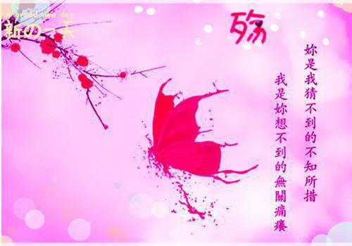 所谓爱情，水月镜花：结局+番外（顾卿卿顾墨云）完结阅读无弹窗大结局_(所谓爱情，水月镜花：结局+番外)最新章节列表_笔趣阁（顾卿卿顾墨云）