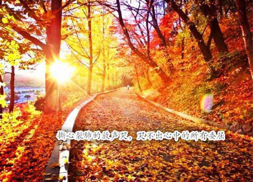 追求爱情的散文