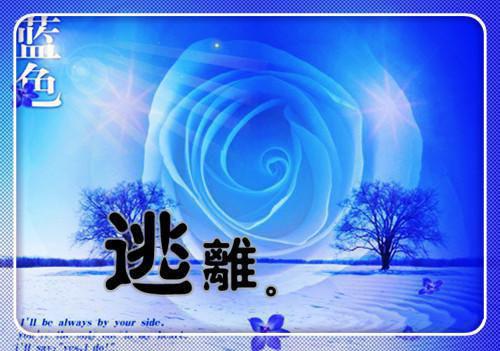 长期不换的情侣签名 热恋中的情侣签名最新