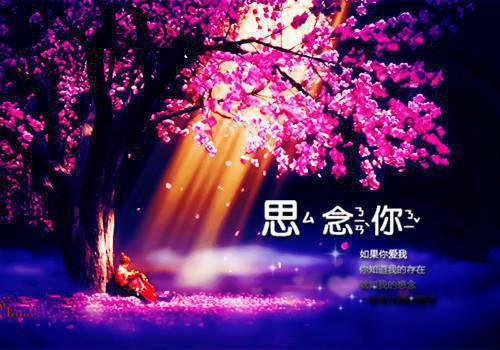 关于柳树的诗句