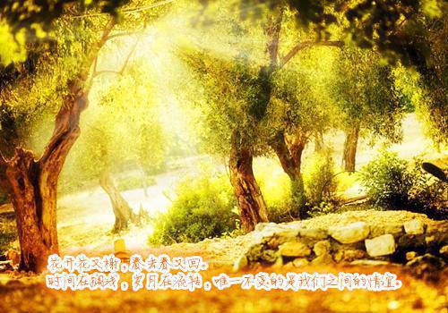 沈傲凝蒋之舟(回头看,轻舟已过万重山:结局+番外)全文免费阅读无弹窗大结局_(沈傲凝蒋之舟)最新章节列表_笔趣阁(回头看,轻舟已过万重山:结局+番外)