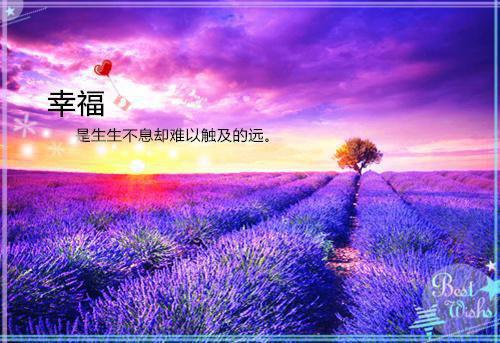 超拽的个性签名好评榜2023 长得不高清就别装清高