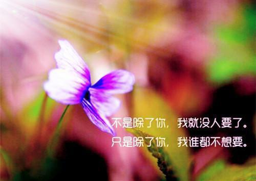 心的第七次颤动:结局+番外+完结(姜颜苏砚)全文免费阅读无弹窗大结局_心的第七次颤动:结局+番外+完结最新章节列表_笔趣阁(姜颜苏砚)