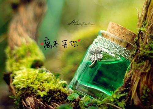 2025高中班主任操行评语（精选9篇）