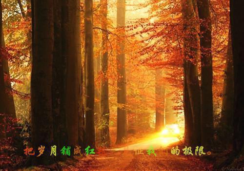 愿你不染人间愁：全文+结局+番外（傅慎川沈兮棠）全文免费阅读无弹窗大结局_(愿你不染人间愁：全文+结局+番外)最新章节列表_笔趣阁（傅慎川沈兮棠）