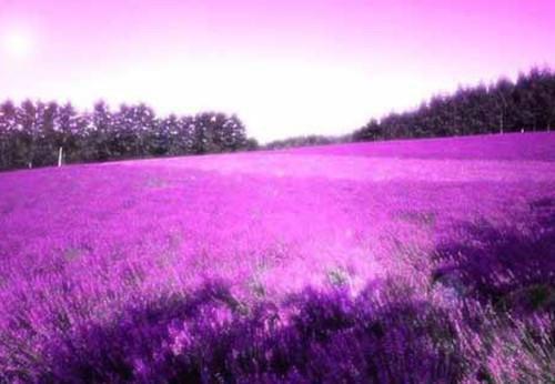 孟祈年周晓晚（疏雨梧桐浅月朦胧小说周晓晚）全文免费阅读无弹窗大结局_(孟祈年周晓晚)最新章节列表_笔趣阁（疏雨梧桐浅月朦胧小说周晓晚）