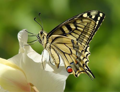 林深不知云海结局+番外(许云琛裴清欢)全文免费阅无弹窗大结局_(林深不知云海结局+番外许云琛裴清欢免费阅全文大结局)最新章节列表_笔趣阁(林深不知云海结局+番外)