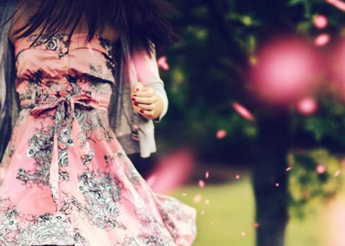 小说傀儡皇帝和她的假笑太监主角为宋清柳枝枝免费阅读