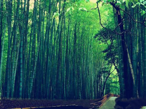 神女她以身渡我：全文+后续+番外(季云铮沈汐悠）小说全文季云铮沈汐悠读无弹窗结局_（季云铮沈汐悠）神女她以身渡我全文+后续小说全文季云铮沈汐悠读结局章节列表笔趣阁（季云铮沈汐悠）