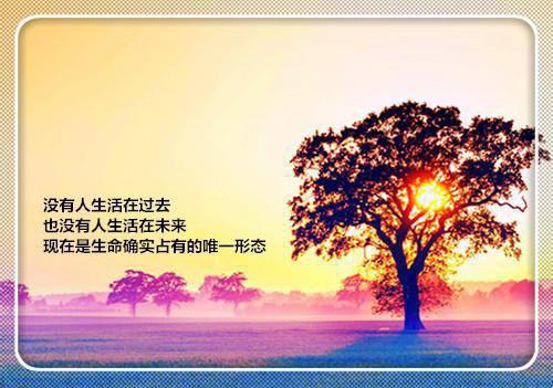 初一寒假素质报告册家长评语（精选5篇）